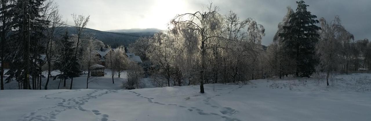 Chwila Moment - Dom W Okolicy Czarnej Gory, Nad Rzeka Βίλα Stronie Śląskie Εξωτερικό φωτογραφία